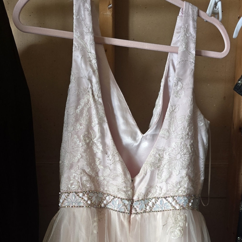Pink Prom Dress - Picture 8 of 9